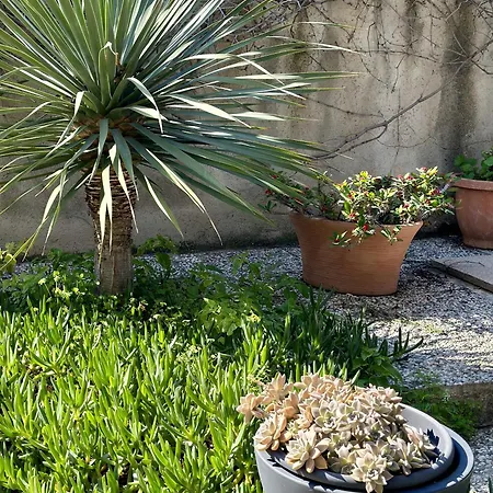 Garden House Torre